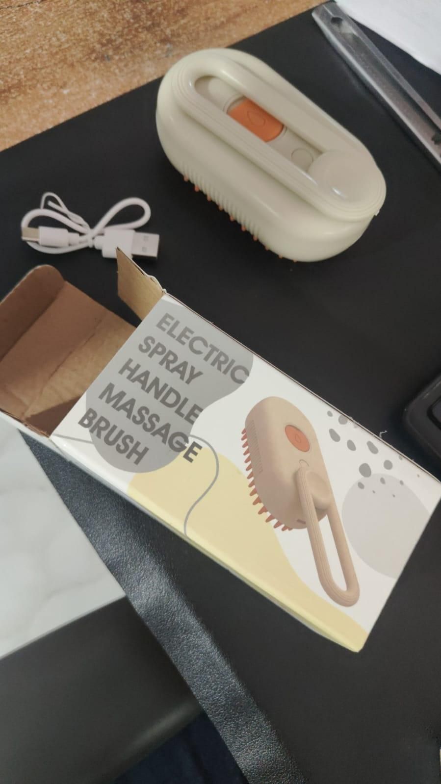 Eco-Friendly Steam Brush for Pets