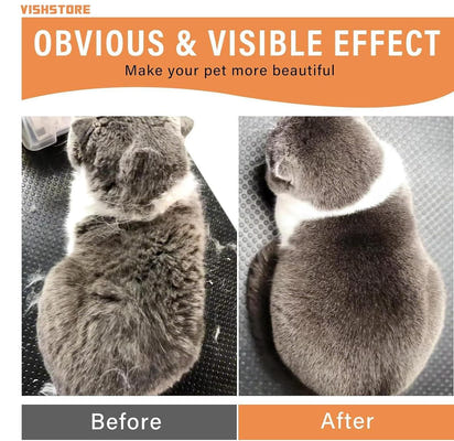 Eco-Friendly Steam Brush for Pets