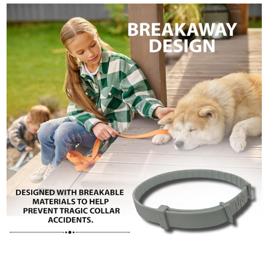 "Transform Worry into Joy for Your Pet"